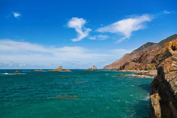 特内里费岛的海岸- -加那利西班牙 — 图库照片