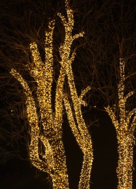 ağaç ve Noel ışıkları