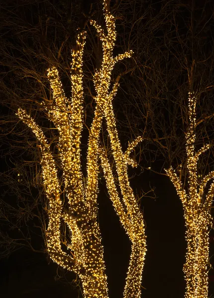 Árbol y luces de Navidad — Foto de Stock