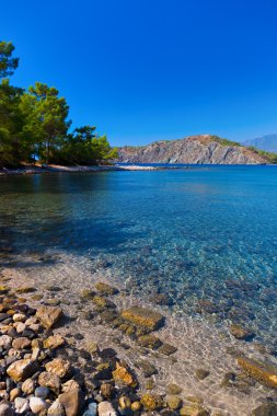 Kumsalda phaselis Antalya, Türkiye