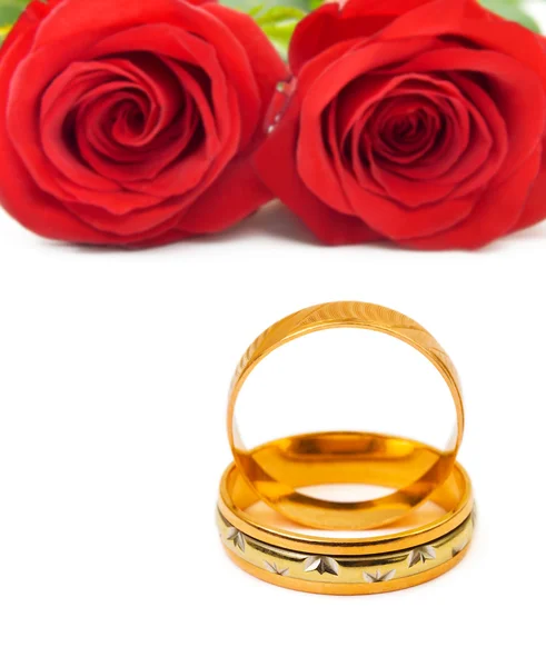 Rosas y anillos de boda —  Fotos de Stock