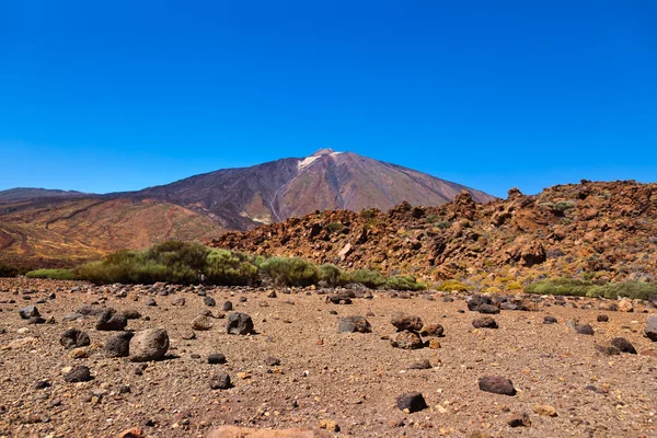 Vulkanen teide på Teneriffa - kanariefågel — Stockfoto