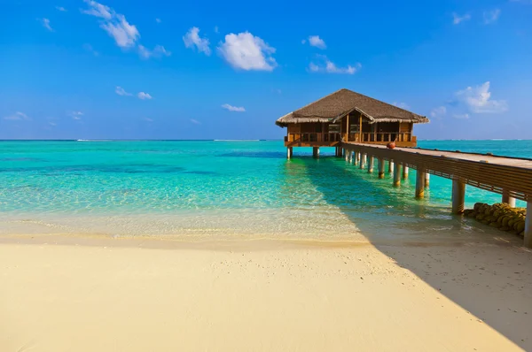 Maldivler de tropikal plaj — Stok fotoğraf
