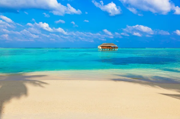 Tropisk strand på Maldiverna — Stockfoto