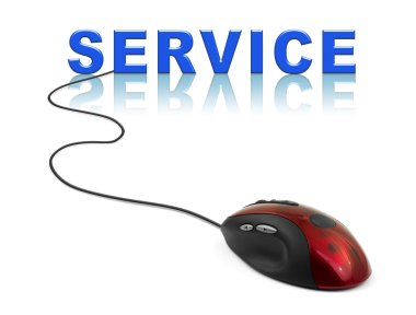 bilgisayar fare ve word Servisi