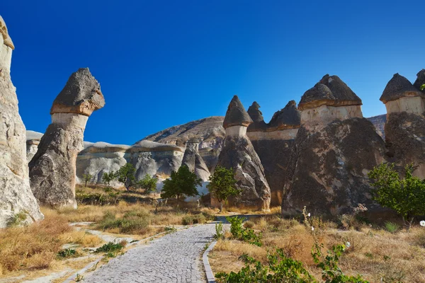 Fairy chimneys (rock formations) at Cappadocia Turkey — Stock Photo, Image