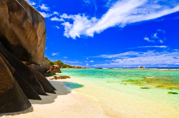 Spiaggia tropicale — Foto Stock