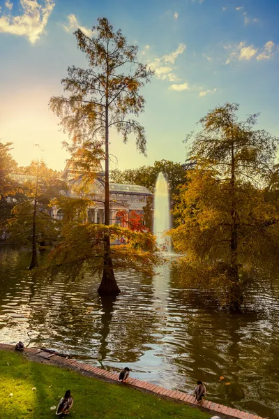 Crystal palace i madrid Spanien — Stockfoto