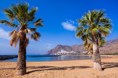 plaj teresitas Tenerife - Kanarya Adaları
