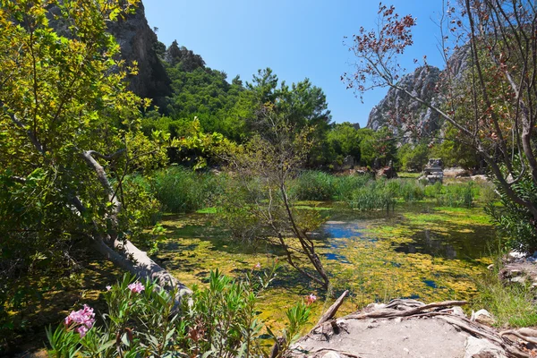 Old town Olympos in Turkey — Stock Photo, Image