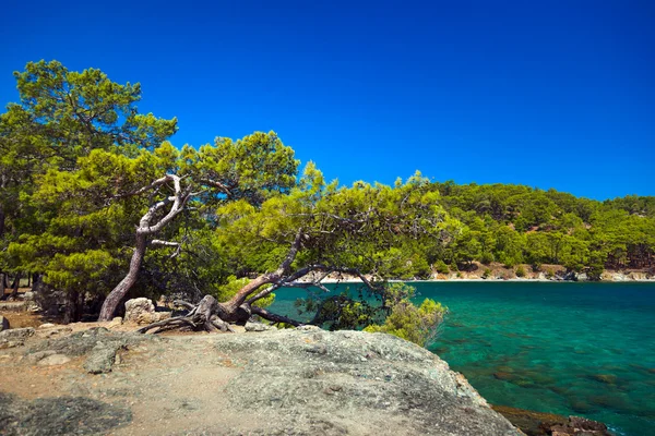 Playa de Phaselis en Antalya, Turquía — Foto de Stock
