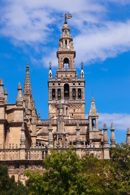 İspanya sevilla Cathedral la giralda