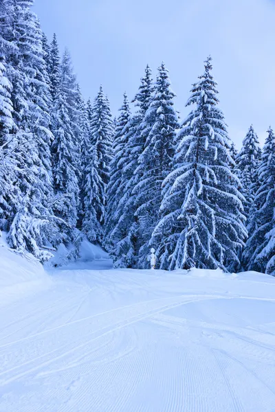 高山滑雪度假村湖畔奥地利 — 图库照片