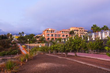 Tenerife adasındaki sahil - Kanarya