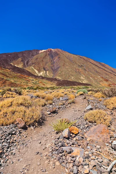 Vulkanen teide på Teneriffa - kanariefågel — Stockfoto