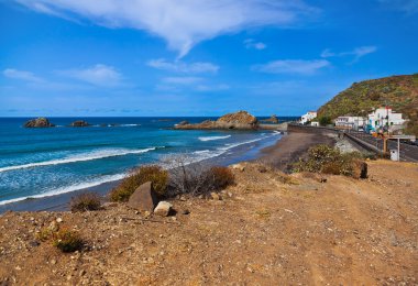 Coast in Tenerife island - Canary Spain clipart