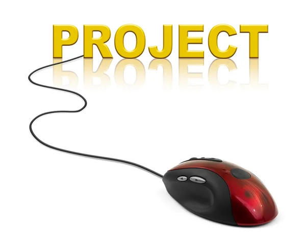 Computer muis en word project — Stockfoto