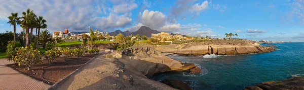 Strand las americas auf der Insel Teneriffa - Kanarienvogel — Stockfoto
