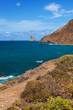Tenerife adasındaki sahil - Kanarya İspanya
