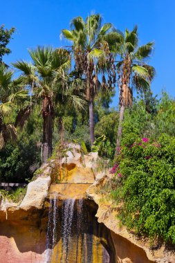 Waterfall in Jungle park at Tenerife Canary clipart
