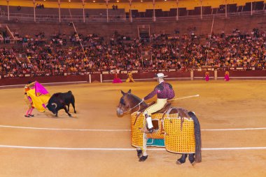 Matador and bull in bullfighting at Madrid clipart