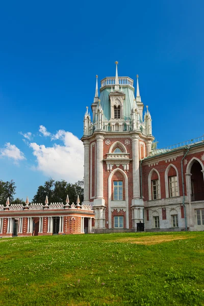 Палац Tsaritsino - Росія-Москва — стокове фото
