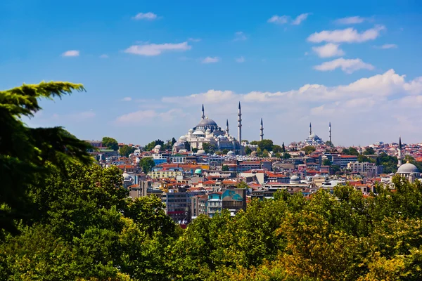 Istanbul truthahn sicht — Stockfoto