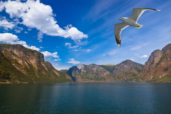 Naeroyfjord fjordu v Norsku - slavné stránky unesco — Stock fotografie