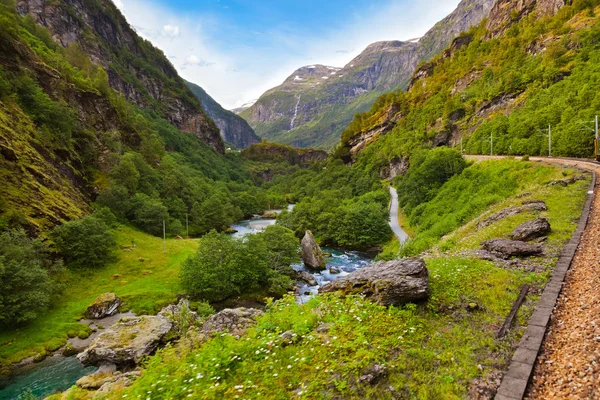 Ferrovia em Flam - Noruega — Fotografia de Stock