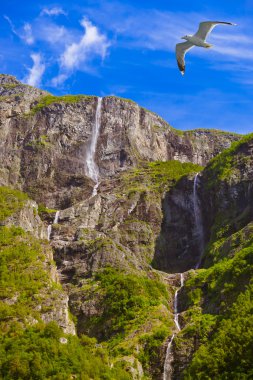 şelale fiyort sognefjord - Norveç