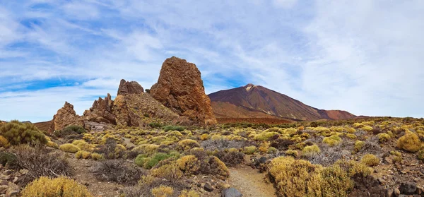 Vulkan Teide auf der Insel Teneriffa - Kanarienvogel — Stockfoto