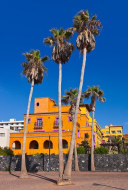 mimari tenerife adasındaki - Kanarya Adaları