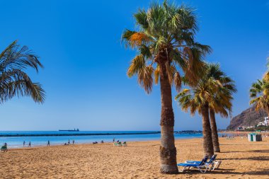 plaj teresitas Tenerife - Kanarya Adaları