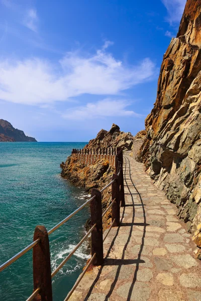 Costa na ilha de Tenerife - Canária Espanha — Fotografia de Stock