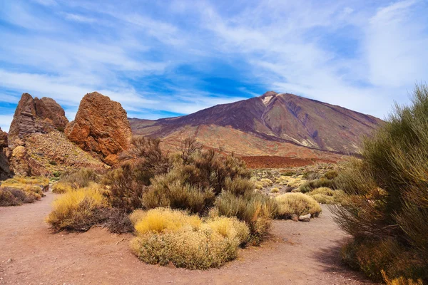 Finger Gottes Felsen am Vulkan Teide auf der Insel Teneriffa - Kanarienvogel — Stockfoto