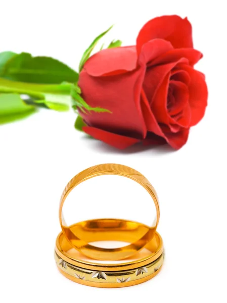 Rosa e anéis de casamento — Fotografia de Stock