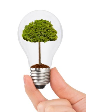 el lambası ve ağaç