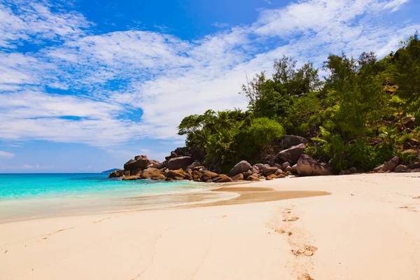 Plage tropicale à île de Praslin Seychelles — Photo