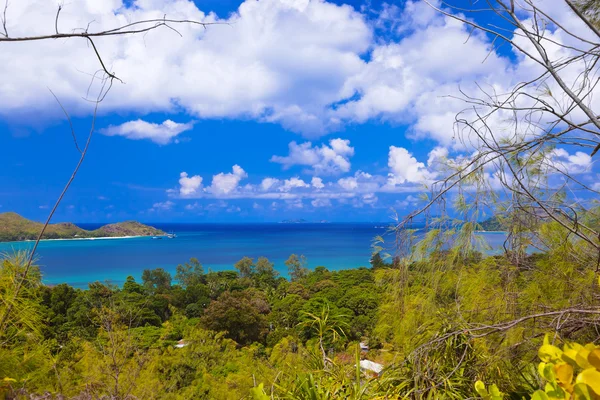 Landskap på øya Praslin - Seychellene – stockfoto