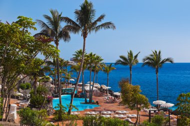 havuz tenerife adasındaki - Kanarya