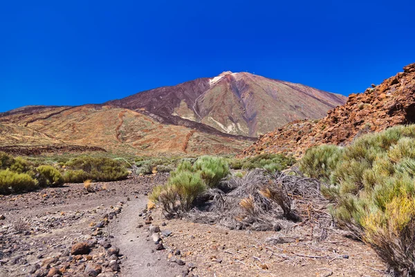 Vulcano Teide nell'isola di Tenerife - Canarie — Foto Stock