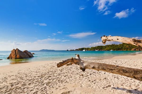 Beach Anse Lazio - Seychelles — Stock Photo, Image