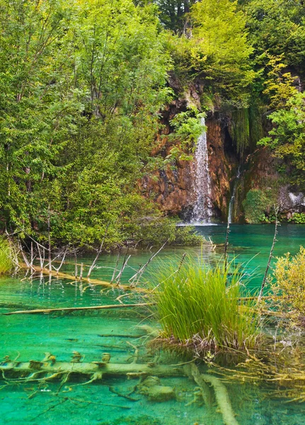 Plitvicei-tavak, Horvátország — Stock Fotó