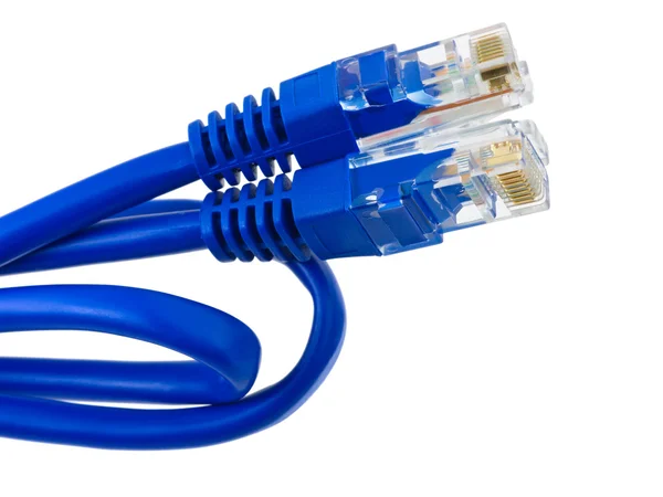 Dator internet kabel — Stockfoto