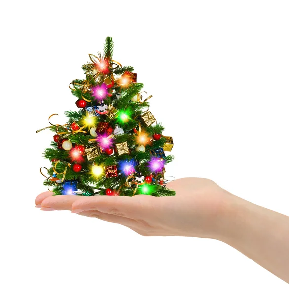 Árbol de Navidad en la mano — Foto de Stock