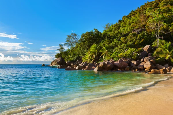 Seychelles spiaggia tropicale al tramonto — Foto Stock