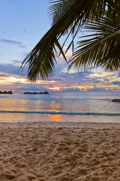 Seychelles playa tropical al atardecer — Foto de Stock