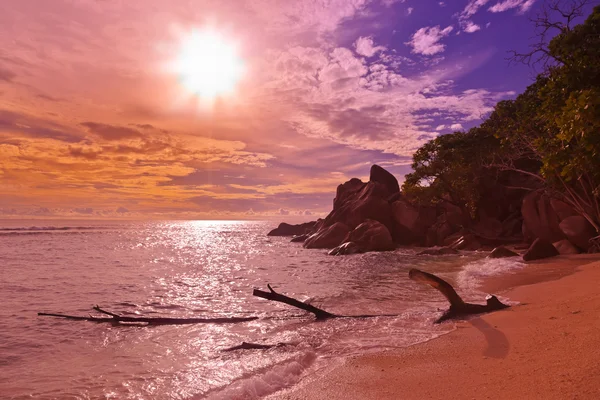 Seychely tropická pláž při západu slunce — Stock fotografie