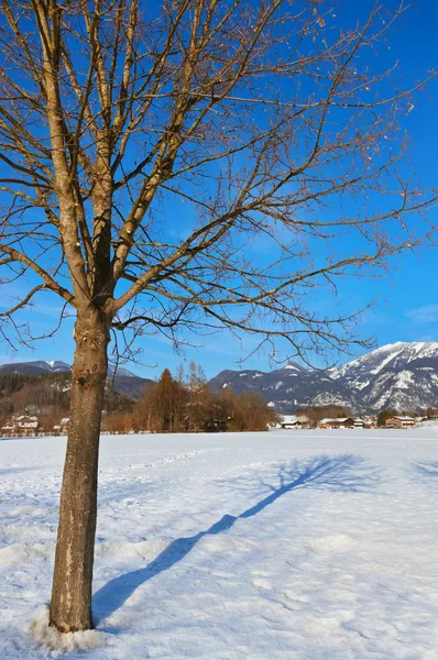 高山滑雪度假村 strobl 奥地利 — 图库照片