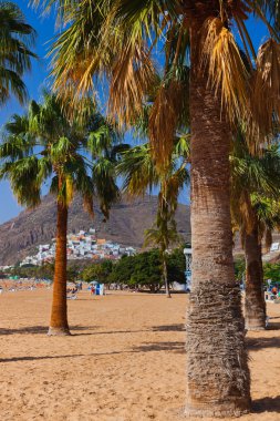 plaj teresitas Tenerife - Kanarya Adaları